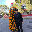 Jose Carlos Gomez Rodriguez's avatar